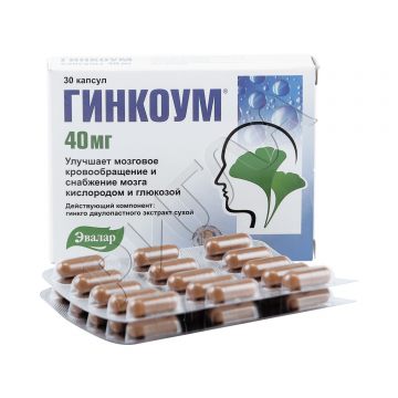 Гинкоум капсулы 40мг №30 в аптеке Аптечный склад в городе Краснослободск