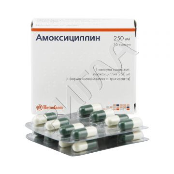 Амоксициллин капсулы 250мг №16 ** в аптеке Будь Здоров в городе Светлый