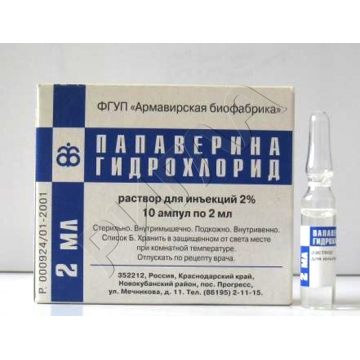 Папаверина г/хл ампулы 2% 2мл №10 ** в аптеке Живика в городе Богданович